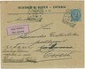 ITALIA REGNO - Sass 40 su BUSTA da CATANIA a PIEDIMONTE 1892