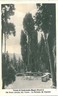 CARTOLINA d'Epoca: CASTROREALE Terme - MESSINA