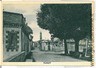 CARTOLINA d'Epoca - TORINO: VESTIGNE