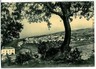 07343  CARTOLINA d'Epoca - AVELLINO: TEORA