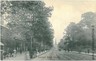 05816 - GB - Vintage POSTCARD - ENGLAND - DERBYSHIRE - DERBY: LONDON ROAD