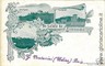 CARTOLINA d'Epoca:  UDINE: TRICESIMO : GRUSS AUS 1901