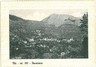 CARTOLINA d'Epoca - TORINO :  Viù VIU'