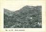 CARTOLINA d'Epoca - TORINO :  Viù VIU'