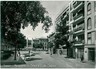 CARTOLINA d'Epoca - TREVISO Città: VIALE CADORNA