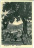 CARTOLINA d'Epoca: PIACENZA - CERIGNALE