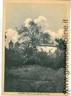 01295   CARTOLINA d'Epoca: LACONI - ORISTANO