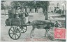 02402 ETHNIC vintage postcard: PORTUGAL - AZORES Açores