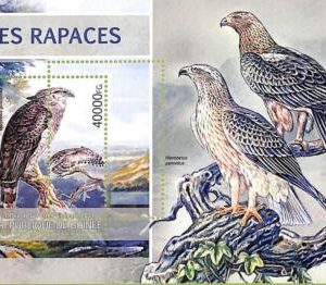 A7969 - REP.GUINEE - ERROR MISPERF  Stamp Sheet -2013 bird of prey