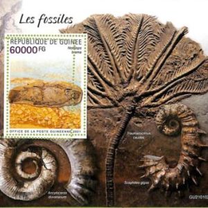 A8084 - REP.GUINEE - ERROR MISPERF  Stamp Sheet - 2021 Fossils
