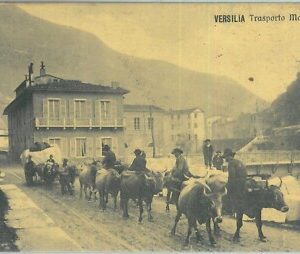 85880  - CARTOLINA d'Epoca -  MASSA CARRARA  -  VERSILIA Trasporto Marmi