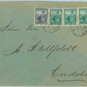 93781 - ARGENTINA - POSTAL HISTORY - Libertad Escudo on COVER  1901