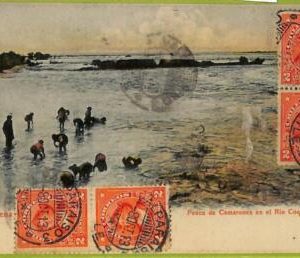 aa5419 - CHILE - Vintage Postcard - Serena