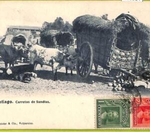 aa5524 - CHILE - Vintage Postcard - Santiago - Ethnic