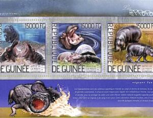 A7834 - REP.GUINEE - Stamp Sheet - 2014 MARINE MAMMALS, Hippopotamus