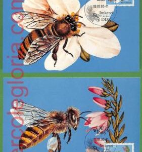 ag7360 - GERMANY - Set of 4  MAXIMUM CARD - 09.01.1990 - Insects, Bees