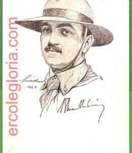 ah2529 - HUNGARY -  VINTAGE POSTCARD -  SCOUTS