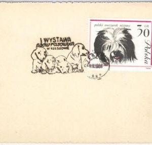 42993 - POLAND - POSTAL HISTORY - CARD with nice postmark - DOGS 1968