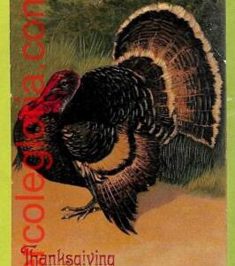 af5664 -   VINTAGE POSTCARD - Celebrations - THANKSGIVING  Greetings - USA 1911