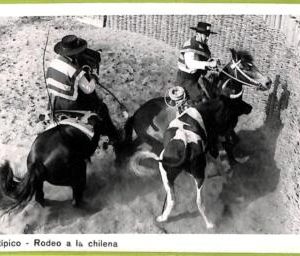 af1514 - CHILE - Vintage Postcard  - Rodeo a la Chilena - 1948