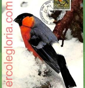 32868 - Switzerland -  MAXIMUM CARD  -  FAUNA, BIRDS Pro Juventute
