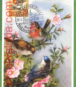 32928 - GERMANY -  MAXIMUM CARD  - 1958 - FAUNA, BIRDS