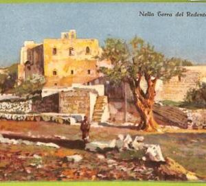 af3279 -  JUDAICA vintage postcard: ISRAEL - Jericho