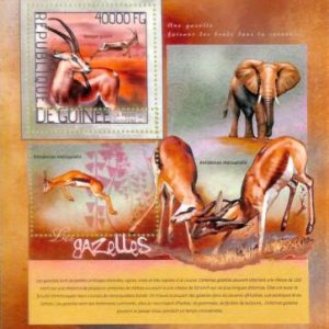 A7930 - REP.GUINEE -  ERROR MISPERF  Stamp Sheet - MAMMALS Gazelle