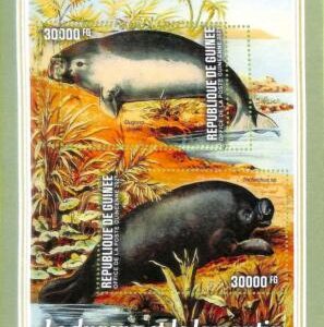 A7947- REP.GUINEE - ERROR MISPERF  Stamp Sheet - 2021 ANIMALS