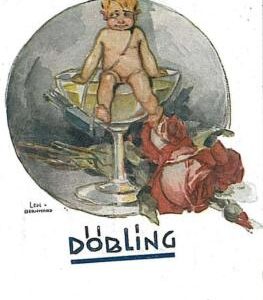 11471 - Ansichtskarten VINTAGE POSTCARD Österreich AUSTRIA - Döbling ADVERTISIN