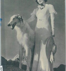 78754 - VINTAGE POSTCARD - CINEMA:   Olivia de Havilland  - AFGHAN HOUND!/Borzoi