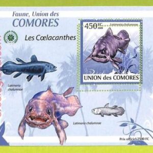 B0003 - COMORES - ERROR MISPERF Stamp Sheet - 2009 Marine Life CAELACANTHS