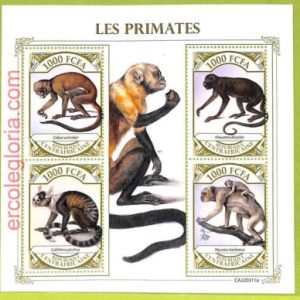 B0040 - CENTRAFRICAINE - ERROR MISPERF Stamp Sheet - 2022 - PRIMATES Monkeys