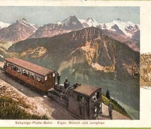 ad5149 - SWITZERLAND - Ansichtskarten VINTAGE POSTCARD -Schynige Platte - 1904