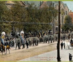 ah0348 - USA - VINTAGE POSTCARD - Orange - Circus - 1908