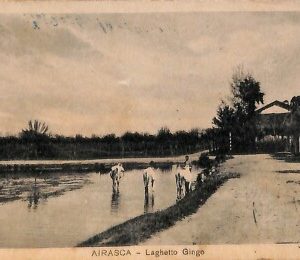 ab3554 - CARTOLINA D'EPOCA - Torino  provincia  - Airasca