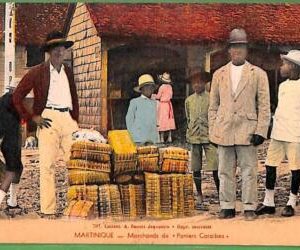 ah2465 - VINTAGE POSTCARD  - Martinique  - ETHNIC