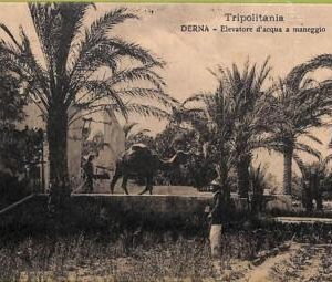 af6010 - LIBYA - VINTAGE POSTCARD - Derna