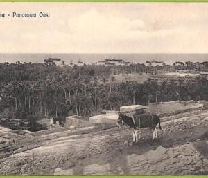 af6014 - LIBYA - VINTAGE POSTCARD - Derna - 1914