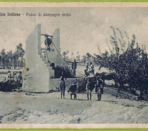 af6208 - LIBYA - VINTAGE POSTCARD - Tripoli