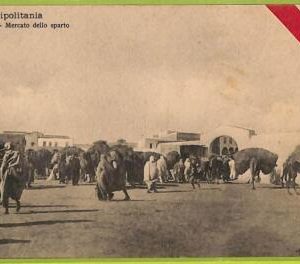 af6207 - LIBYA - VINTAGE POSTCARD - Tripoli