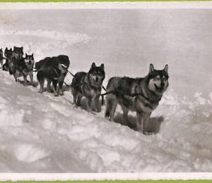 ad6556 - SWITZERLAND Schweitz- Ansichtskarten VINTAGE POSTCARD - 1946