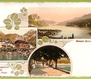 Lib7863 - SWITZERLAND - VINTAGE POSTCARD -  Weesen