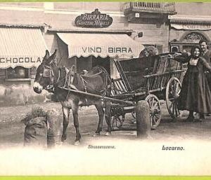 Lib7943 - SWITZERLAND - VINTAGE POSTCARD - Locarno