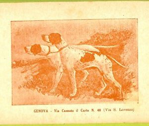 aa9287- CARTOLINA D'EPOCA  GENOVA Città : Via Canneto il Curto N.40