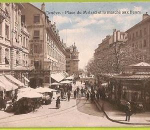 ad5815 - SWITZERLAND Schweitz - Ansichtskarten VINTAGE POSTCARD - Geneve