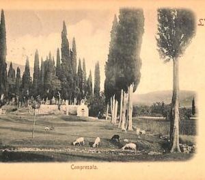 ac5856 - Ansichtskarten  VINTAGE  POSTCARD - CROATIA - L'Ombra - 1900