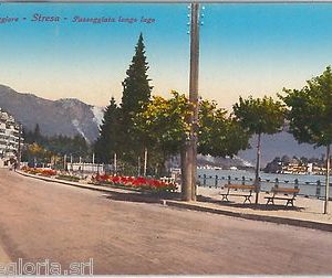 56010 -- CARTOLINA d'Epoca - LAGO MAGGIORE:  Stresa