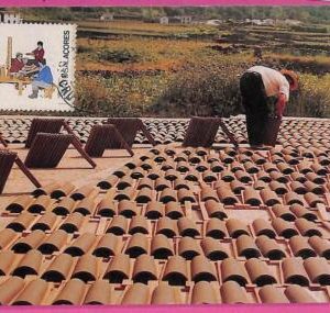 ag3448 - PORTUGAL Acores  - POSTAL HISTORY - Maximum Card - INDUSTRY 1990's