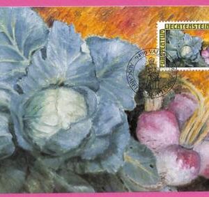 ag3411a -  Liechtenstein - POSTAL HISTORY - Maximum Card - 1986 ART